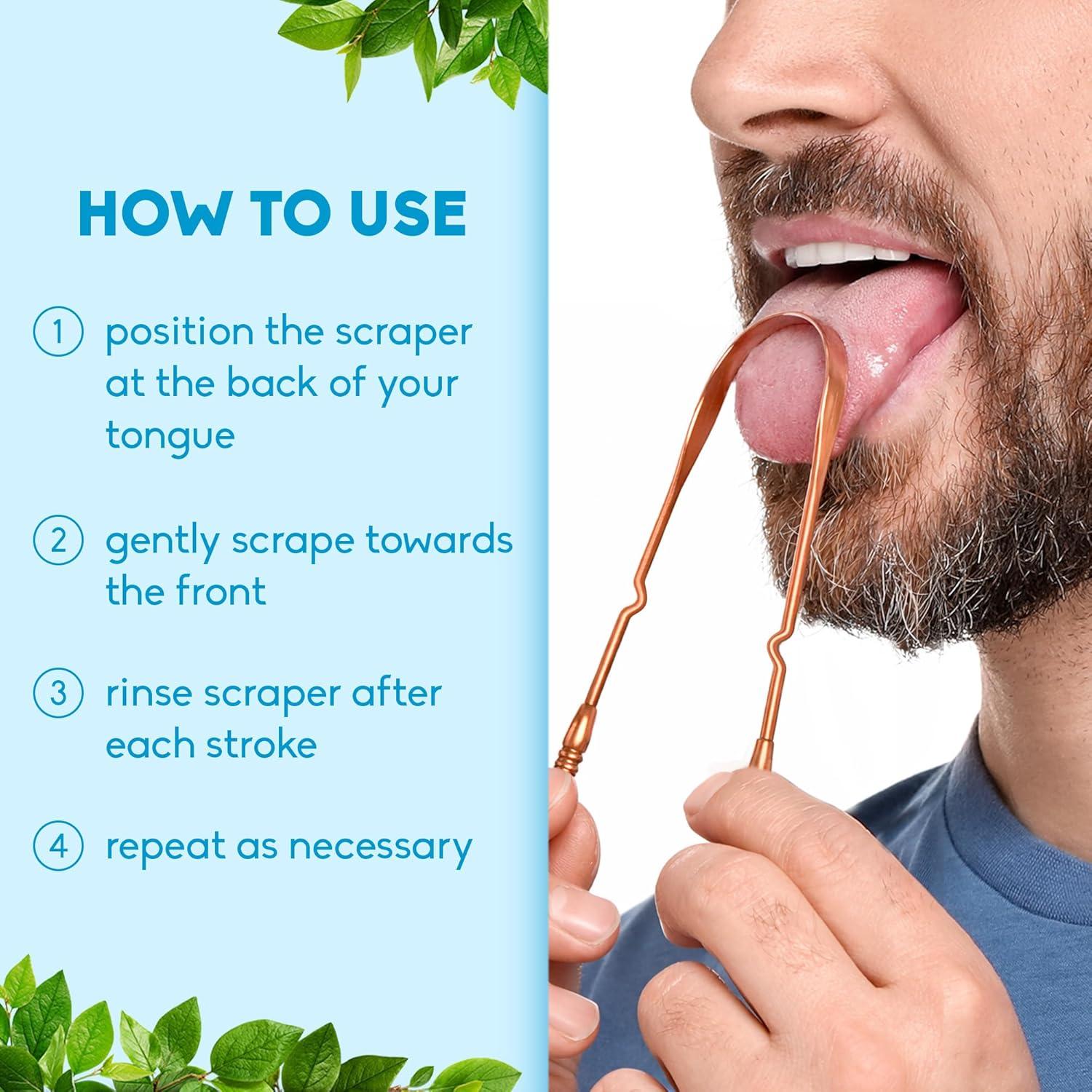image:imageThe Humble Co Tongue Scraper for Adults amp Kids 2 Pack 100 Stainless Steel Tongue Cleaner Helps Eliminate Bad Breath amp Bacteria Dental Oral Care Products amp Personal Hygiene EssentialsCopper